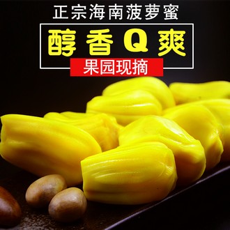 海南 新鲜菠萝蜜20斤 现摘现发 甜而不腻