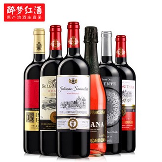 6支装法国原瓶进口红酒葡萄酒组合